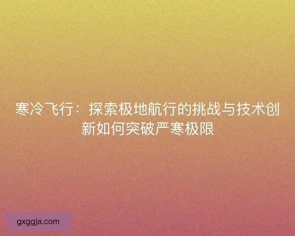 寒冷飞行：探索极地航行的挑战与技术创新如何突破严寒极限