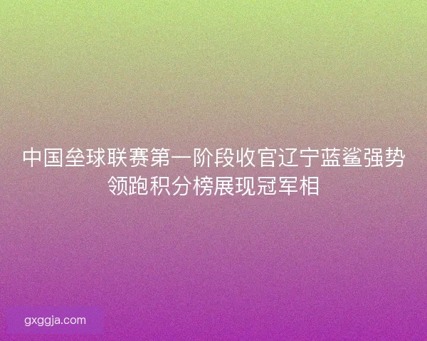 中国垒球联赛第一阶段收官辽宁蓝鲨强势领跑积分榜展现冠军相